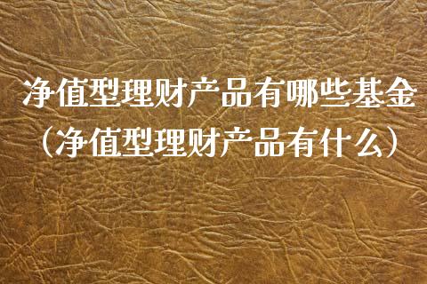 净值型理财产品有哪些基金（净值型理财产品有什么）_https://www.kuaijiepai.net_投资理财_第1张