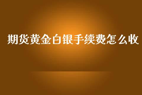 期货黄金白银手续费怎么收_https://www.kuaijiepai.net_期货资讯_第1张