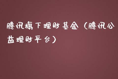 腾讯旗下理财基金（腾讯公益理财平台）_https://www.kuaijiepai.net_投资理财_第1张