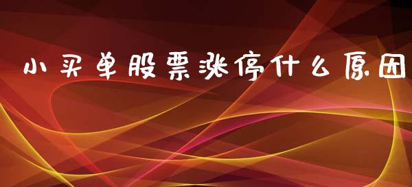 小买单股票涨停什么原因_https://www.kuaijiepai.net_新股新闻_第1张
