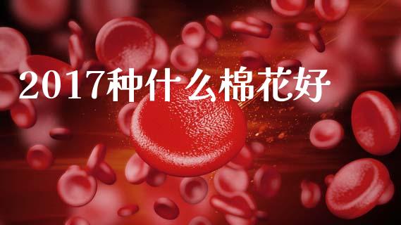 2017种什么棉花好_https://www.kuaijiepai.net_期货理财_第1张