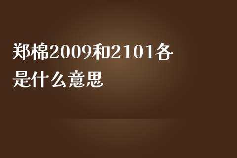 郑棉2009和2101各是什么意思_https://www.kuaijiepai.net_期货资讯_第1张