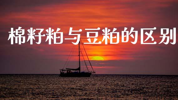 棉籽粕与豆粕的区别_https://www.kuaijiepai.net_期货资讯_第1张