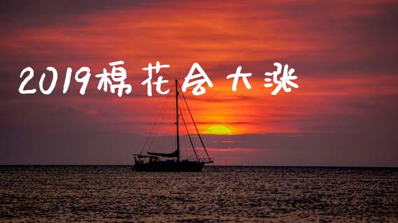 2019棉花会大涨_https://www.kuaijiepai.net_期货资讯_第1张