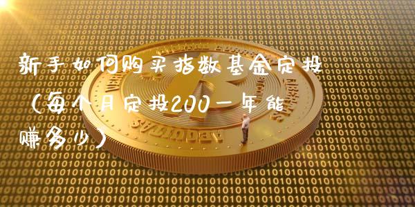 新手如何购买指数基金定投（每个月定投200一年能赚多少）_https://www.kuaijiepai.net_期货资讯_第1张
