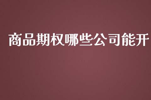 商品期权哪些公司能开_https://www.kuaijiepai.net_股票理论_第1张