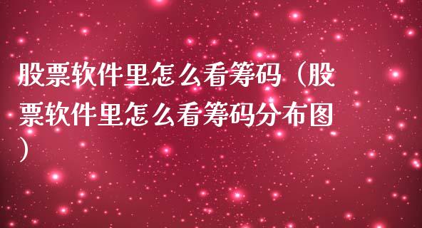 股票软件里怎么看筹码（股票软件里怎么看筹码分布图）_https://www.kuaijiepai.net_新股新闻_第1张