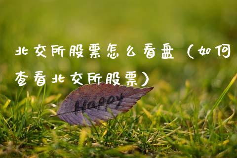 北交所股票怎么看盘（如何查看北交所股票）_https://www.kuaijiepai.net_股票理论_第1张