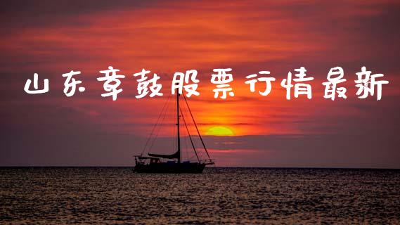 山东章鼓股票行情最新_https://www.kuaijiepai.net_新股新闻_第1张