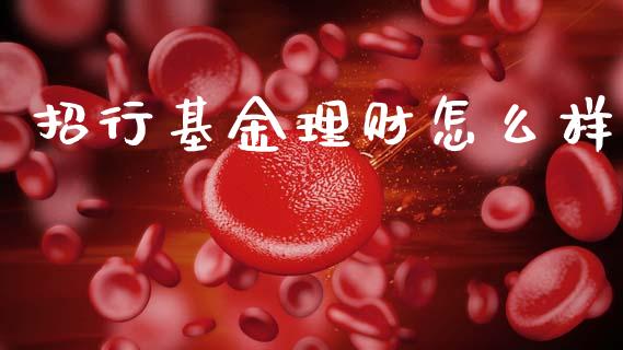 招行基金理财怎么样_https://www.kuaijiepai.net_投资理财_第1张