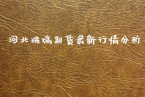河北玻璃期货最新行情分析_https://www.kuaijiepai.net_期货在线_第1张