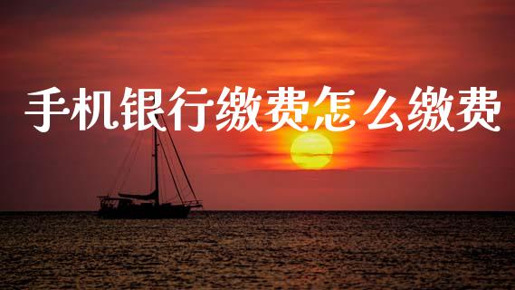 手机银行缴费怎么缴费_https://www.kuaijiepai.net_国际股建_第1张
