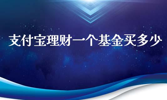 支付宝理财一个基金买多少_https://www.kuaijiepai.net_投资理财_第1张