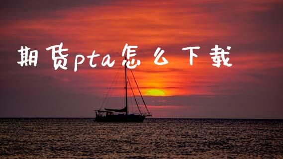 期货pta怎么下载_https://www.kuaijiepai.net_期货资讯_第1张