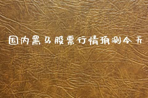国内黑马股票行情预测今天_https://www.kuaijiepai.net_国际股建_第1张