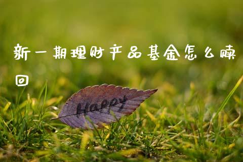 新一期理财产品基金怎么赎回_https://www.kuaijiepai.net_投资理财_第1张