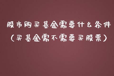 股市购买基金需要什么条件（买基金需不需要买股票）_https://www.kuaijiepai.net_期货理财_第1张