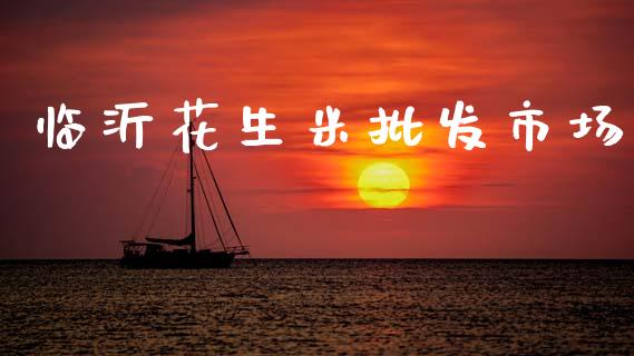 临沂花生米批发市场_https://www.kuaijiepai.net_国际期货_第1张