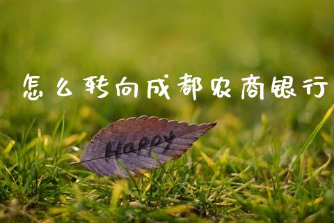 怎么转向成都农商银行_https://www.kuaijiepai.net_股票理论_第1张