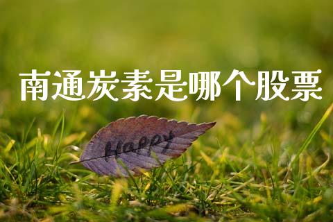 南通炭素是哪个股票_https://www.kuaijiepai.net_期货在线_第1张