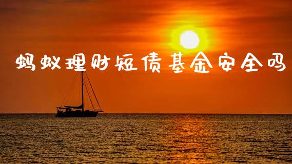 蚂蚁理财短债基金安全吗_https://www.kuaijiepai.net_期货理财_第1张