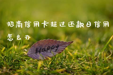 招商信用卡超过还款日信用怎么办_https://www.kuaijiepai.net_股票理论_第1张