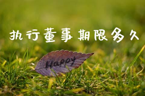 执行董事期限多久_https://www.kuaijiepai.net_股票理论_第1张