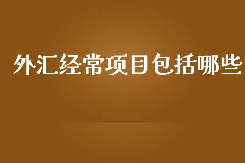 外汇经常项目包括哪些_https://www.kuaijiepai.net_国际股建_第1张