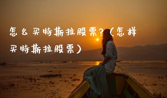 怎么买特斯拉股票?（怎样买特斯拉股票）_https://www.kuaijiepai.net_股票理论_第1张