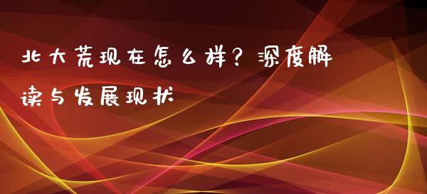 北大荒现在怎么样？深度解读与发展现状_https://www.kuaijiepai.net_期货理财_第1张