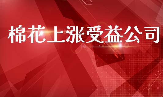 棉花上涨受益公司_https://www.kuaijiepai.net_期货资讯_第1张