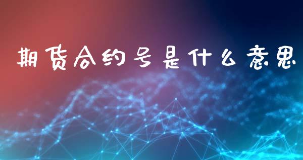 期货合约号是什么意思_https://www.kuaijiepai.net_期货在线_第1张