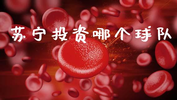 苏宁投资哪个球队_https://www.kuaijiepai.net_投资理财_第1张