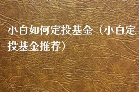 小白如何定投基金（小白定投基金推荐）_https://www.kuaijiepai.net_期货理财_第1张