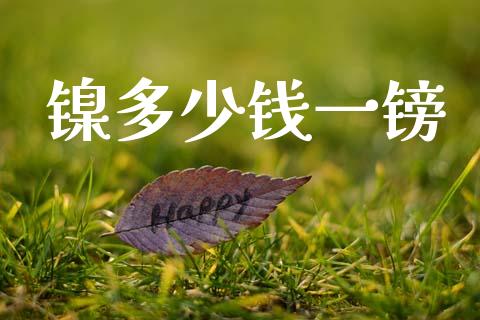 镍多少钱一镑_https://www.kuaijiepai.net_期货理财_第1张