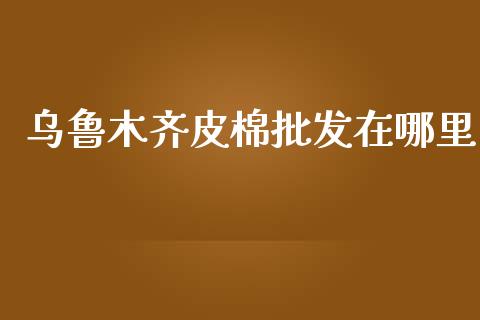 乌鲁木齐皮棉批发在哪里_https://www.kuaijiepai.net_期货资讯_第1张