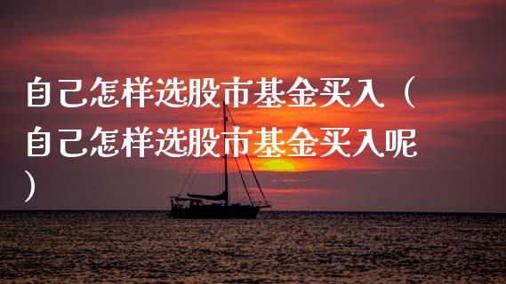 自己怎样选股市基金买入（自己怎样选股市基金买入呢）_https://www.kuaijiepai.net_投资理财_第1张