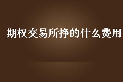 期权交易所挣的什么费用_https://www.kuaijiepai.net_期货在线_第1张
