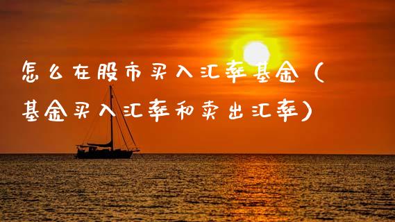 怎么在股市买入汇率基金（基金买入汇率和卖出汇率）_https://www.kuaijiepai.net_期货理财_第1张