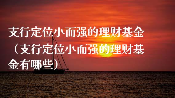 支行定位小而强的理财基金（支行定位小而强的理财基金有哪些）_https://www.kuaijiepai.net_投资理财_第1张