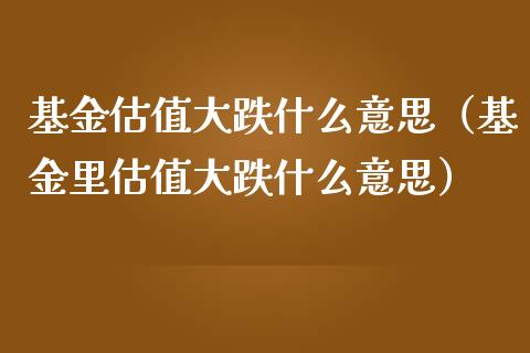 基金估值大跌什么意思（基金里估值大跌什么意思）_https://www.kuaijiepai.net_投资理财_第1张
