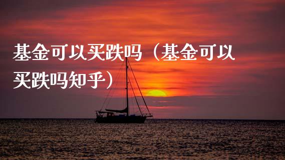 基金可以买跌吗（基金可以买跌吗知乎）_https://www.kuaijiepai.net_期货理财_第1张