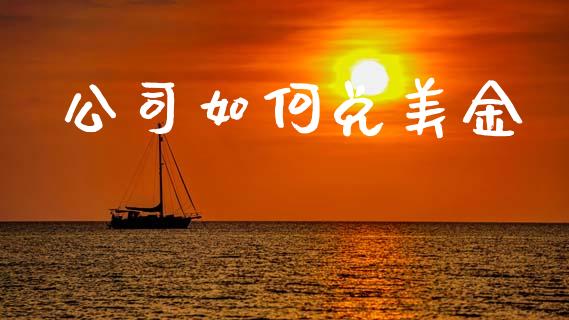 公司如何兑美金_https://www.kuaijiepai.net_期货资讯_第1张