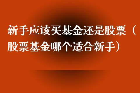 新手应该买基金还是股票（股票基金哪个适合新手）_https://www.kuaijiepai.net_期货理财_第1张