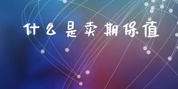 什么是卖期保值_https://www.kuaijiepai.net_期货在线_第1张