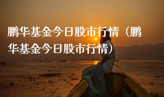 鹏华基金今日股市行情（鹏华基金今日股市行情）_https://www.kuaijiepai.net_期货理财_第1张