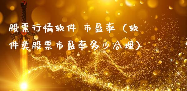 股票行情软件 市盈率（软件类股票市盈率多少合理）_https://www.kuaijiepai.net_股票理论_第1张
