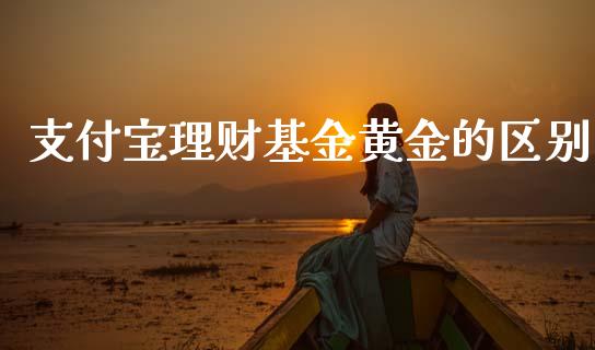 支付宝理财基金黄金的区别_https://www.kuaijiepai.net_期货理财_第1张