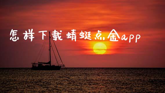 怎样下载蜻蜓点金app_https://www.kuaijiepai.net_期货在线_第1张