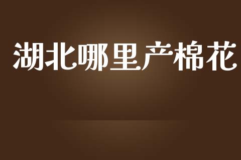湖北哪里产棉花_https://www.kuaijiepai.net_国际期货_第1张